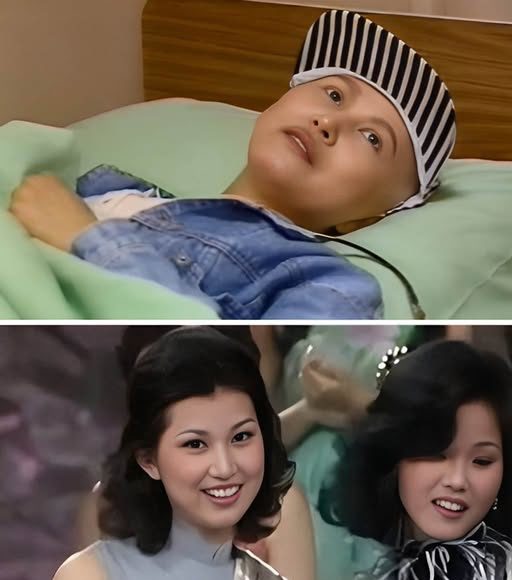 527253784_1252263276939416_172742824232655828_n