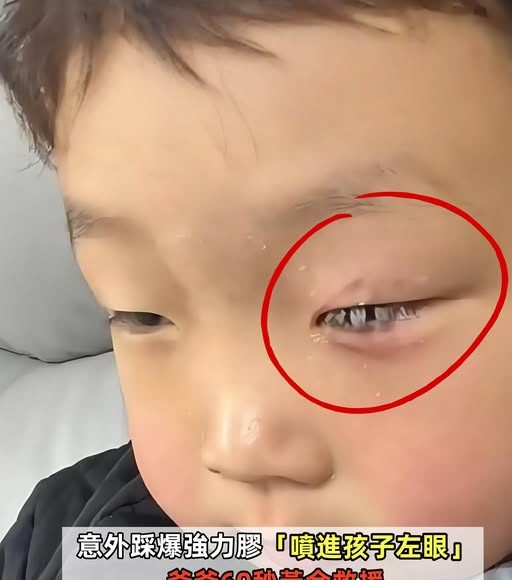 587305718_1317754180382756_5124609213916428232_n