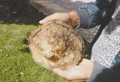 84CCC8C6330Ew400h275