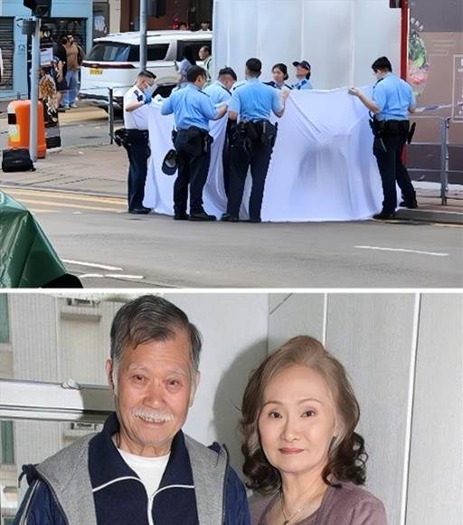 622351432_1321513983355796_6940473048092784487_n