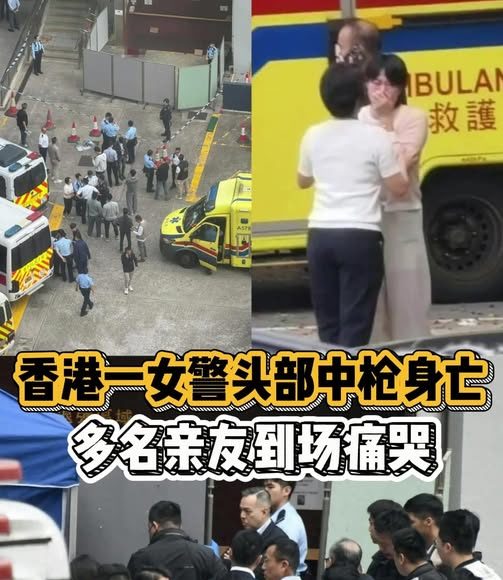 641280779_1445613660937709_4182040718421374232_n